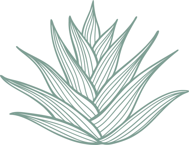 Prodotti Officinali Biologici a Filiera Corta